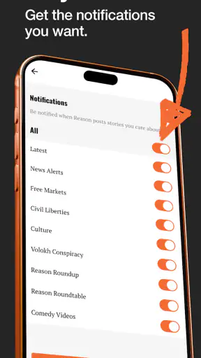 Reason screenshot