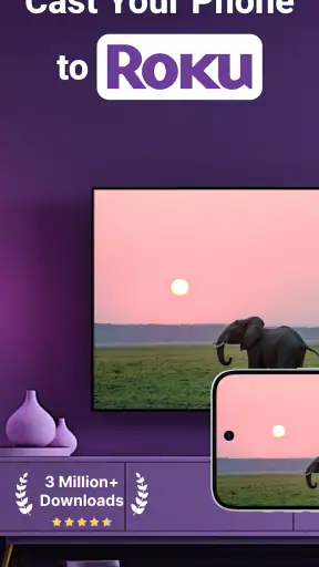 Roku Screen Mirror & Cast TV screenshot