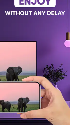 Roku Screen Mirror & Cast TV screenshot