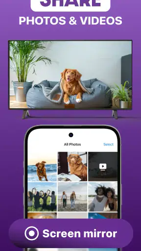 Roku Screen Mirror & Cast TV screenshot