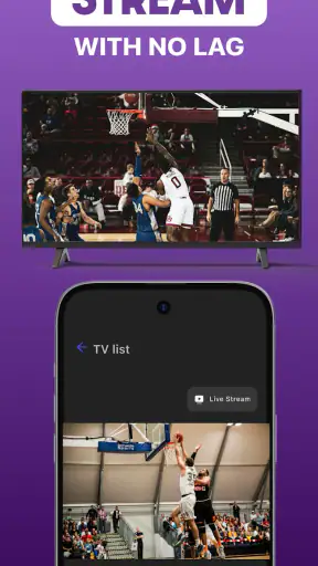 Roku Screen Mirror & Cast TV screenshot