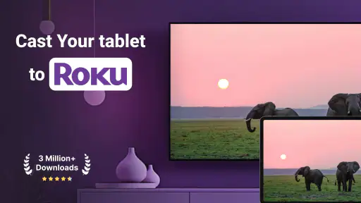 Roku Screen Mirror & Cast TV screenshot