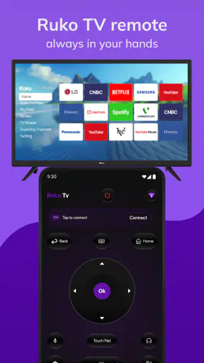 Roku Tv Remote Control screenshot