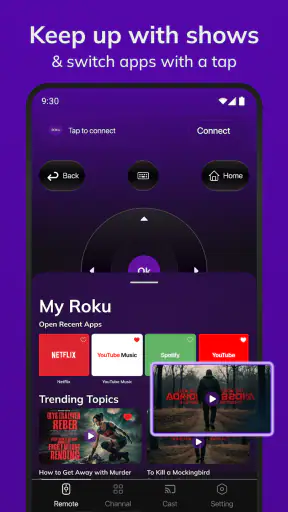 Roku Tv Remote Control screenshot