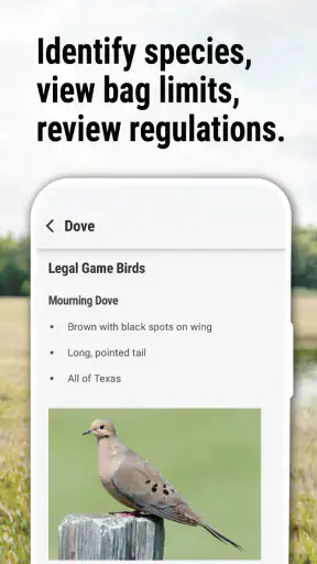 Texas Outdoor Annual screenshot