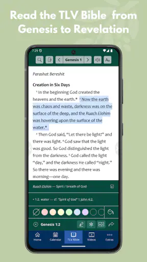 TLV Bible screenshot