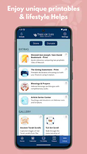 TLV Bible screenshot