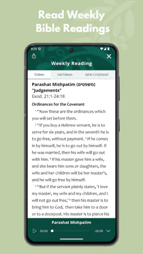 TLV Bible screenshot