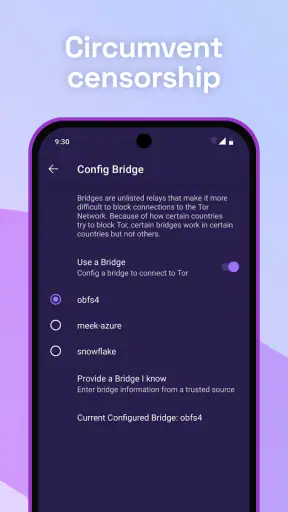 Tor Browser screenshot