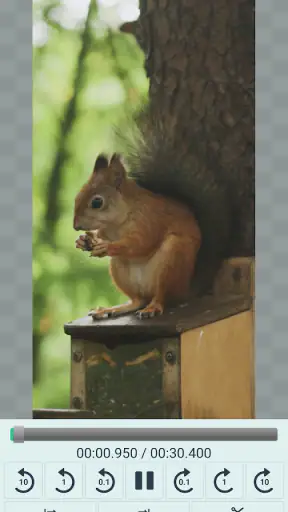 Video Cutter Pro screenshot
