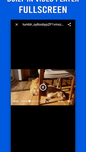 Video Downloader for Tumblr screenshot