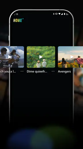 VidVast screenshot