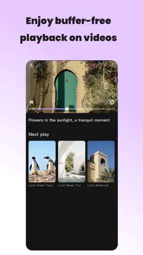 Vidzy-Well Organized screenshot