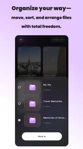 Vidzy-Well Organized screenshot