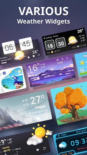 Weather Live screenshot