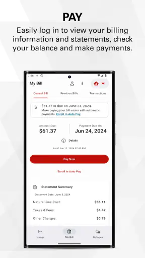 Xcel Energy screenshot