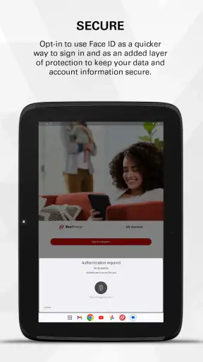 Xcel Energy screenshot