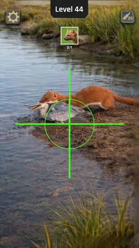 Animal Hunter: Wild Shooting screenshot