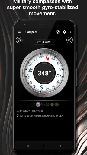 DS Compass screenshot