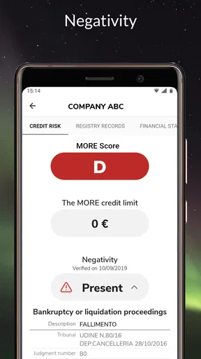 s-peek - Credit Report screenshot