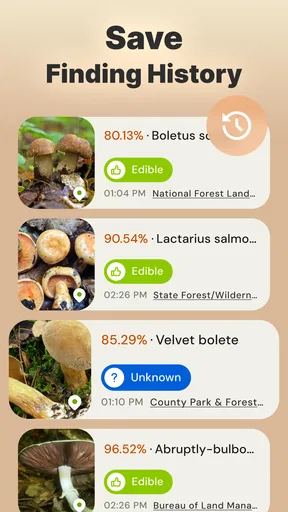 Mushroom Identification screenshot