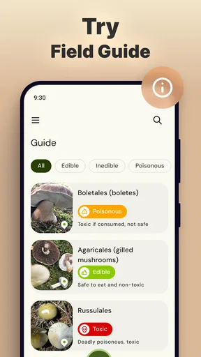 Mushroom Identification screenshot