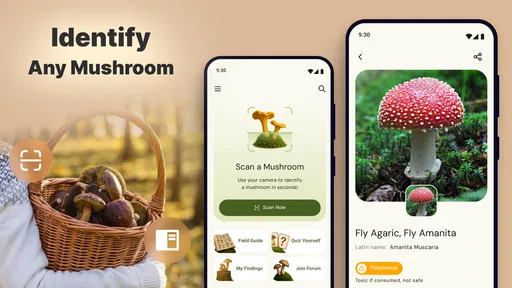 Mushroom Identification screenshot