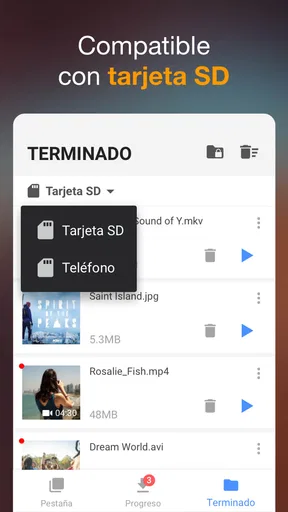 Descargador de vídeos screenshot