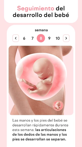amma: calendario de embarazo screenshot