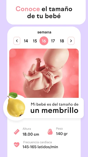 amma: calendario de embarazo screenshot