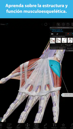 Atlas de anatomía humana 2025 screenshot