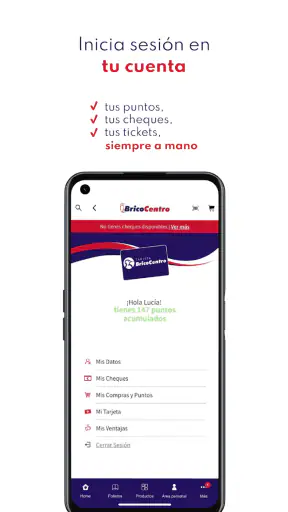 BricoCentro screenshot