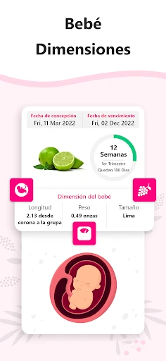 Calculadora de Embarazo screenshot