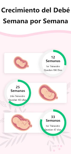 Calculadora de Embarazo screenshot