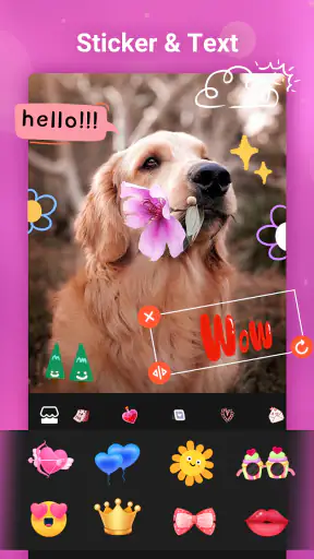 Creador de videos con musica screenshot