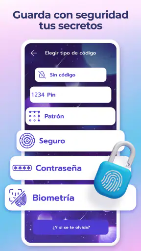 Diario secreto con contraseña screenshot