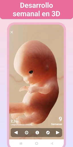Embarazo App - semana a semana screenshot