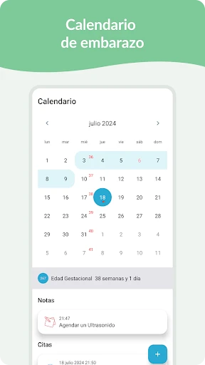 Embarazo: Calendario Diario screenshot