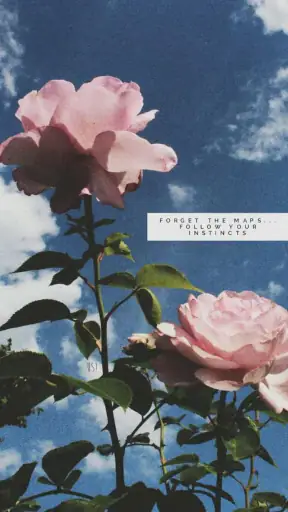 fondos de pantalla aesthetic screenshot