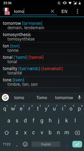 French - English offline dict. screenshot