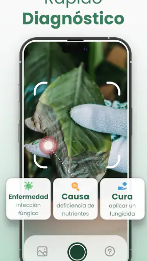Plantify Identificador Plantas screenshot