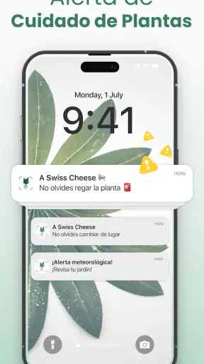 Plantify Identificador Plantas screenshot