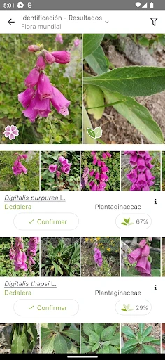 PlantNet Identifica Plantas screenshot