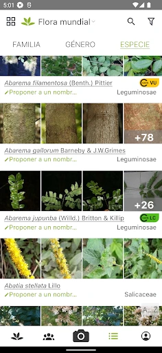 PlantNet Identifica Plantas screenshot
