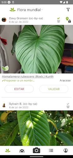 PlantNet Identifica Plantas screenshot