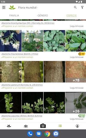PlantNet Identifica Plantas screenshot