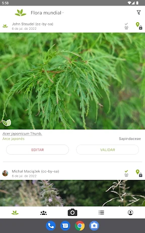 PlantNet Identifica Plantas screenshot