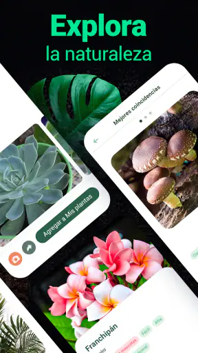 Plantum - Identificar plantas screenshot