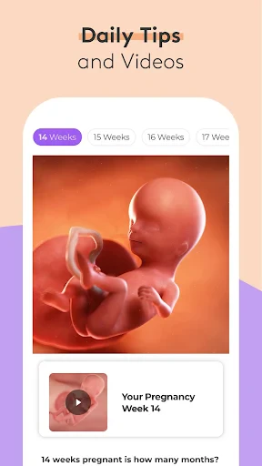 Pregnancy Tracker & Baby App screenshot