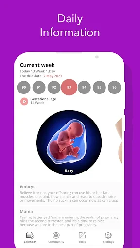 Rastreador de Embarazo y Bebé screenshot